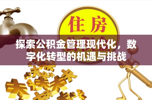昌黎探索公积金管理现代化，数字化转型的机遇与挑战