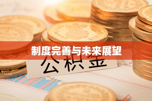昌黎制度完善与未来展望