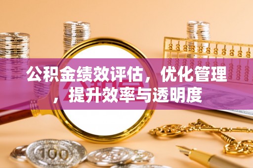昌黎公积金绩效评估，优化管理，提升效率与透明度