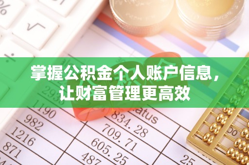 昌黎掌握公积金个人账户信息，让财富管理更高效
