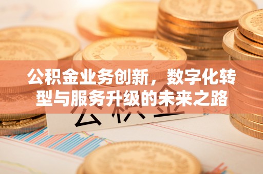昌黎公积金业务创新，数字化转型与服务升级的未来之路